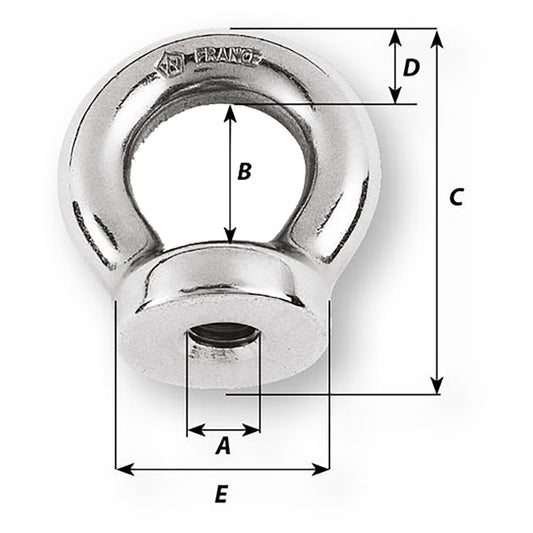 Wichard 1/4 Eye Nut - 1/2" Diameter [6331W]